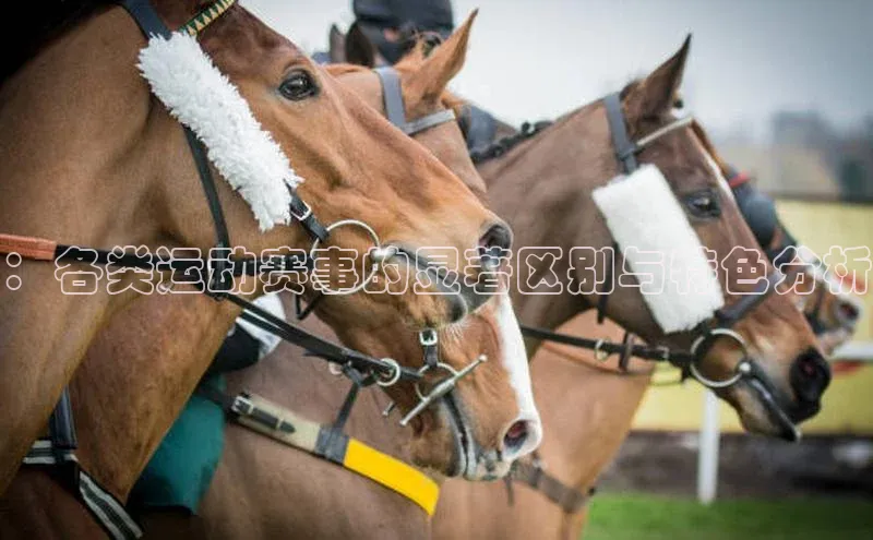 金年会网站入口
