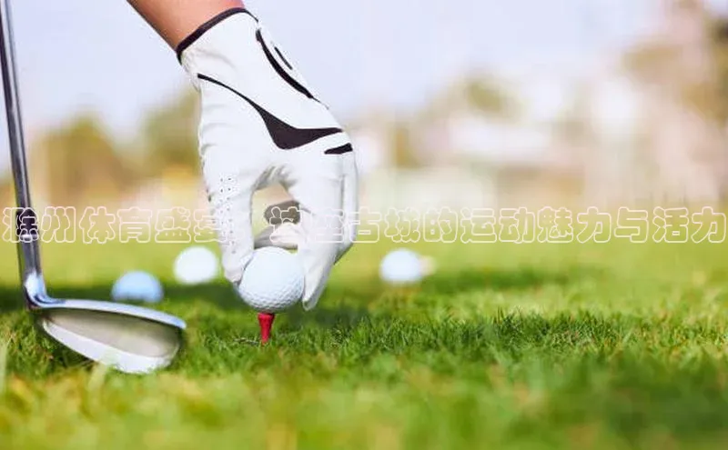 金字招牌诚信至上今年会